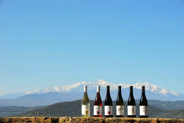 Six bouteilles de vin avec en fond des montagnes